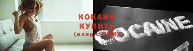 индика Няндома