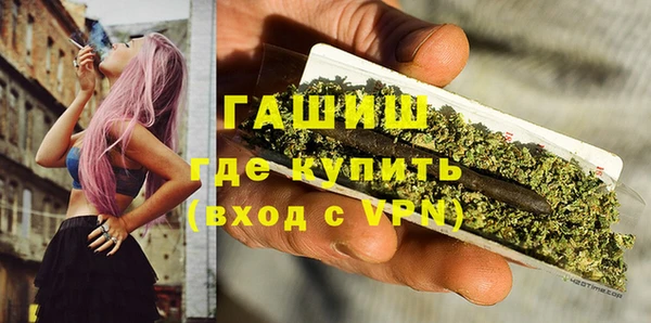 индика Няндома